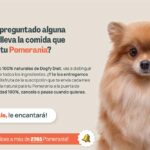 Consejos para una dieta equilibrada de tu Pomerania: Alimentación saludable para tu perro
