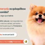 Evita alimentos dañinos para Pomeranias y cuida la salud de tu perro