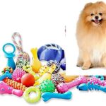 Juguetes para perros Pomerania: diversión y beneficios garantizados